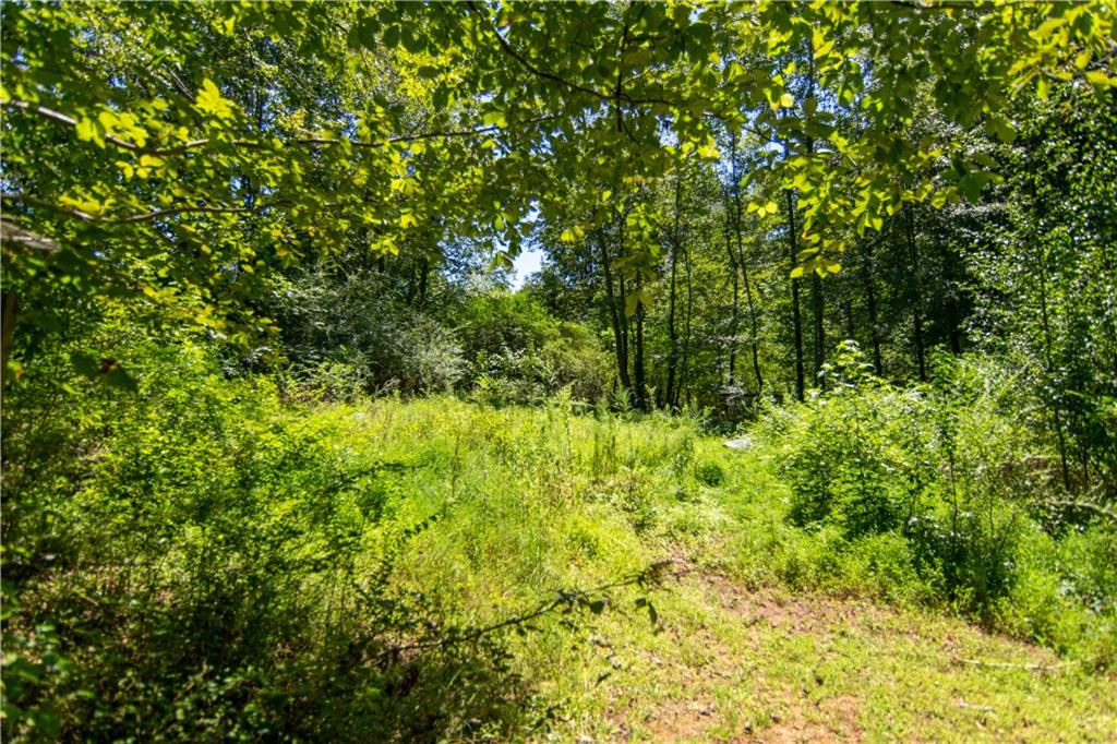 1815 Lee Road Lithia Springs, GA 30122 - Photo 8 of 8 a view of a yard