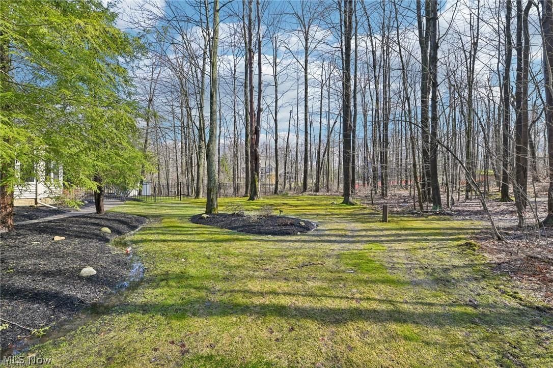 8215 Eagle Ridge Drive Painesville, OH 44077 - Photo 46 of 49