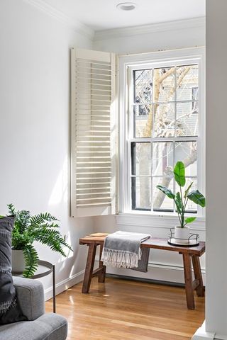 a living room with furniture and a potted plant