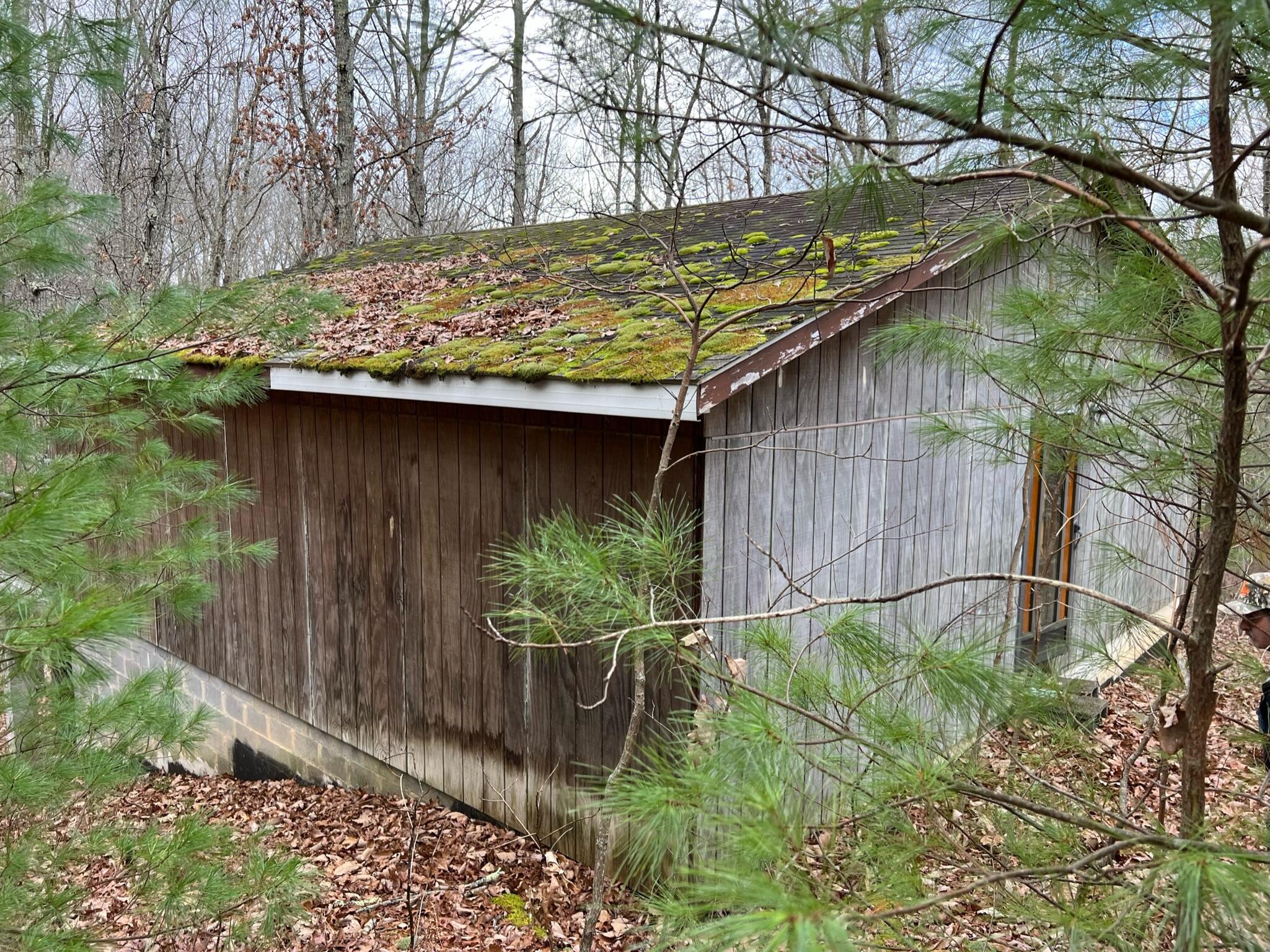 Wildcat Hill Road Gap Mills, WV 24941 - Photo 22 of 37 Gallery Image 22