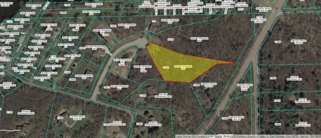 a view of a lush green forest with lots of trees