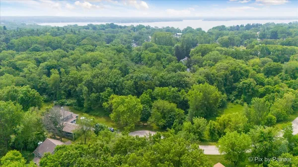 a green field with lots of trees in it