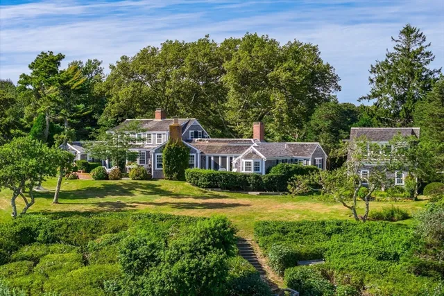 a view of a big yard with potted plants and large trees