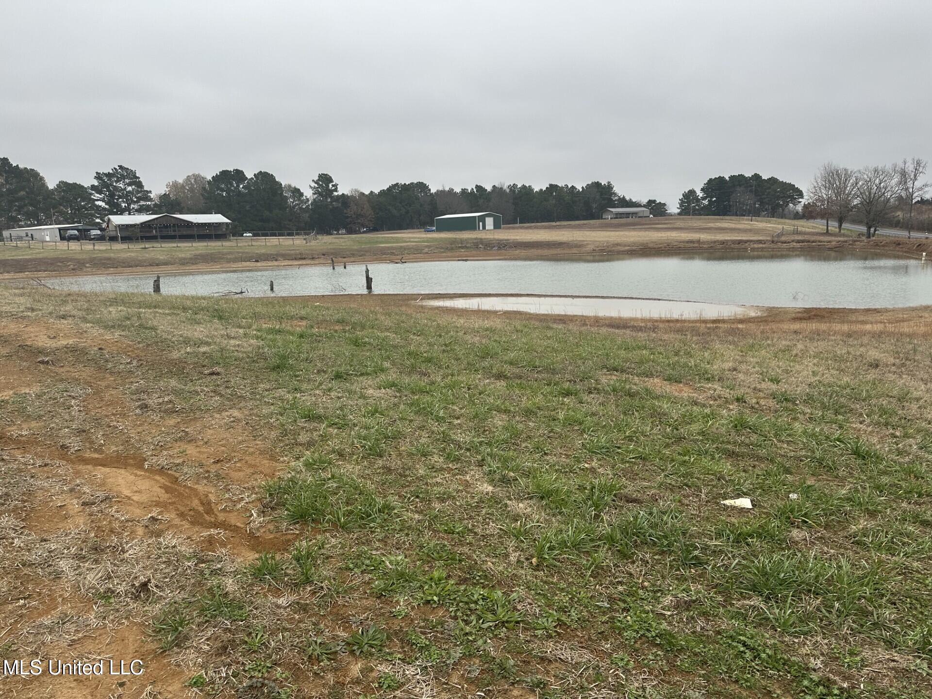 1 Bett Road Coldwater, MS 38618 - Photo 1 of 4 Lake View