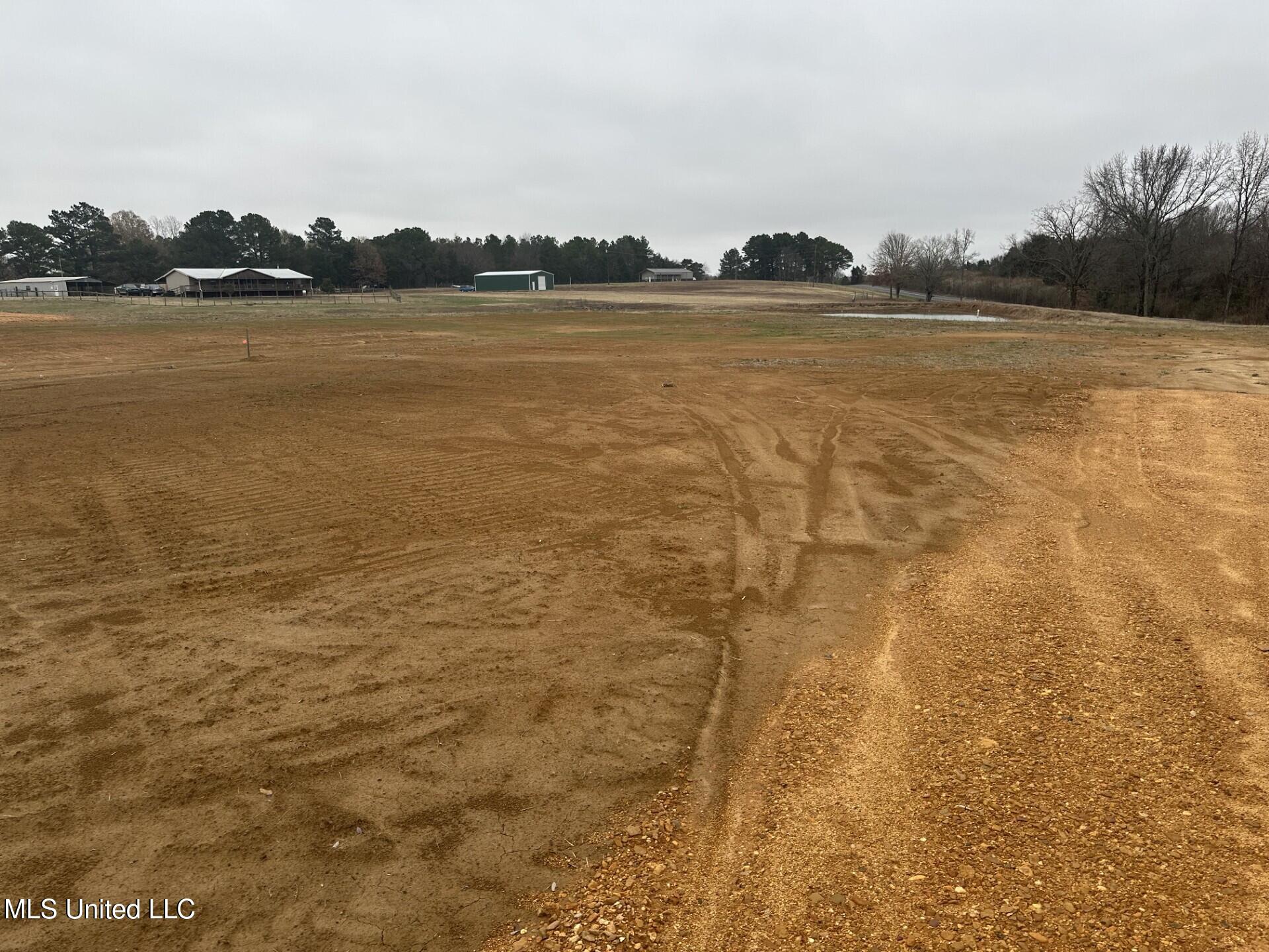 1 Bett Road Coldwater, MS 38618 - Photo 3 of 4 Land