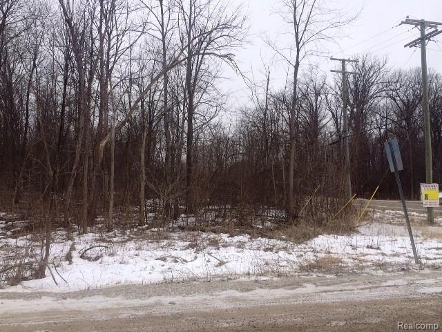 7830 31 Mile Road Washington, MI 48095 - Photo 5 of 6 facing W.JPG