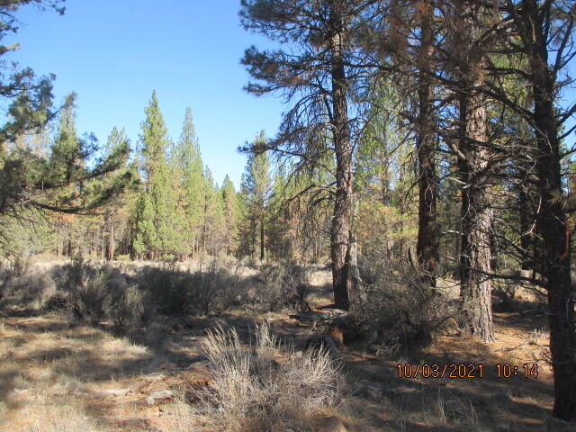 Lot 1200 Sprague River Road Sprague River, OR 97639 - Photo 9 of 12 IMG_7834