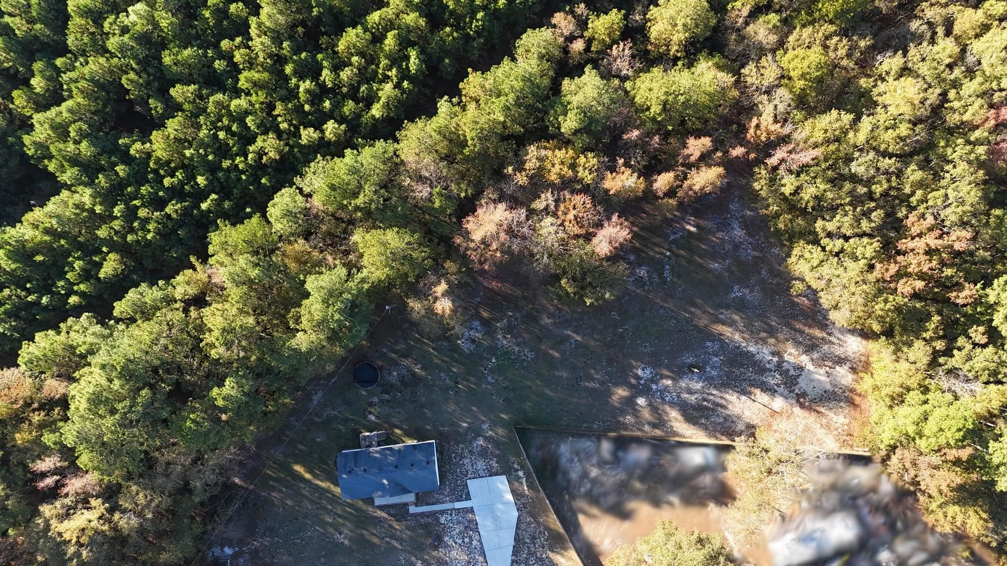 6640 Muscat Road Hope Mills, NC 28348 - Photo 21 of 22 a picture of tree