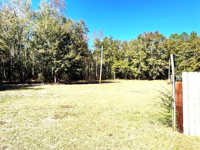 6640 Muscat Road Hope Mills, NC 28348 - Photo 10 of 22 a view of yard with swimming pool and trees