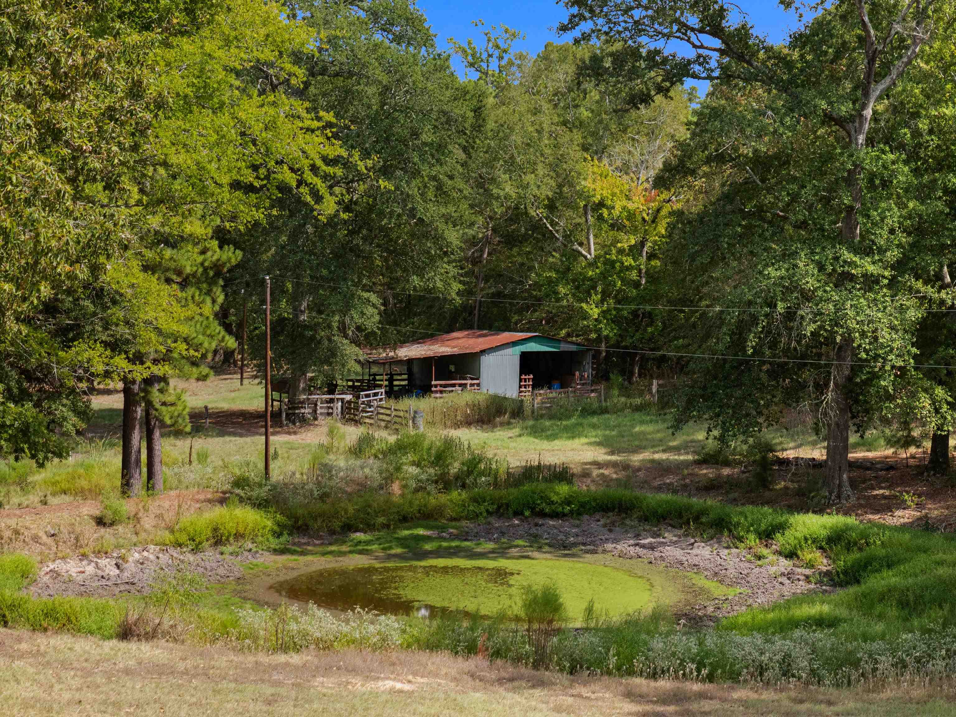 894 Lewis Chapel Road Jefferson, TX 75657 - Photo 33 of 41 Gallery Image 33