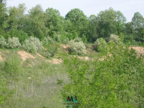10592 Yale Road Yale, MI 48097 - Photo 4 of 6 653729-3.JPG