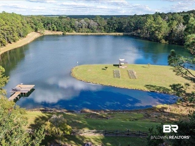 4650 Wiggins Lane Wilmer, AL 36587 - Photo 61 of 66 Aerial view of a nearby body of water