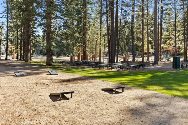 a view of a backyard with trees