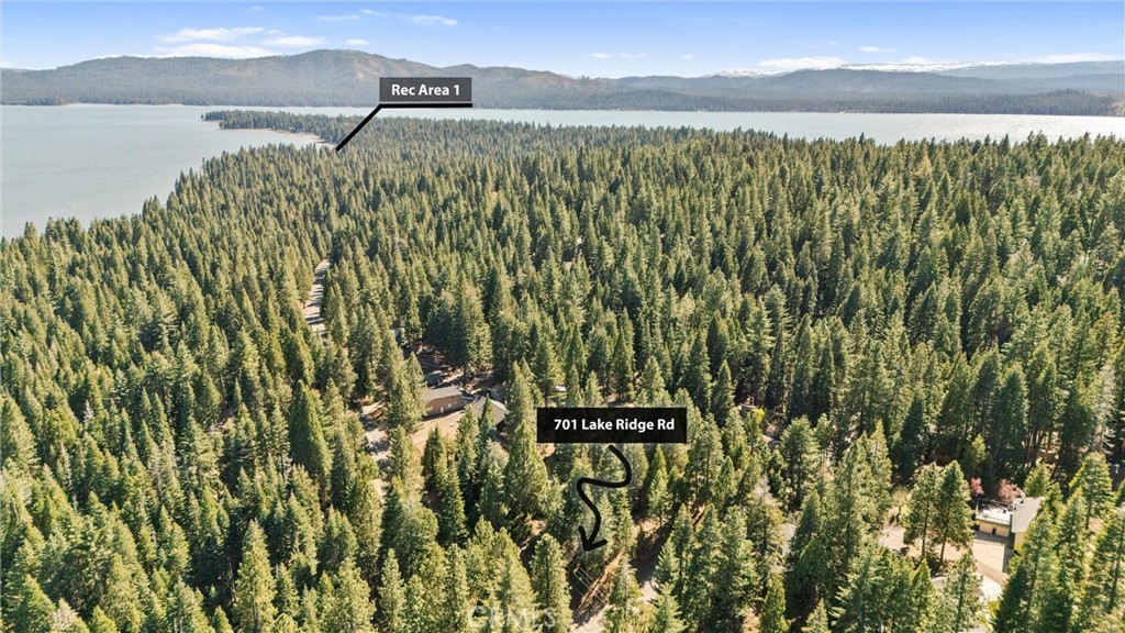 701 Lake Ridge Road Lake Almanor, CA 96137 - Photo 3 of 32