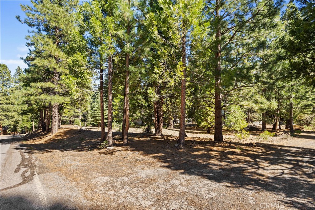 701 Lake Ridge Road Lake Almanor, CA 96137 - Photo 5 of 32