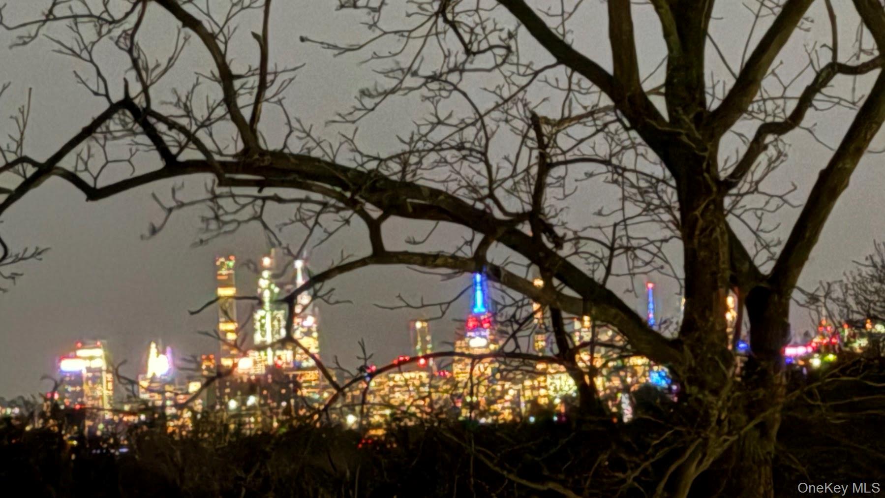 148 Lefferts Road Yonkers, NY 10705 - Photo 31 of 31 Skyline from bedrooms