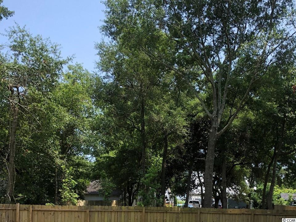 4381 Hwy 17 S Murrells Inlet Murrells Inlet, SC 29576 - Photo 6 of 25