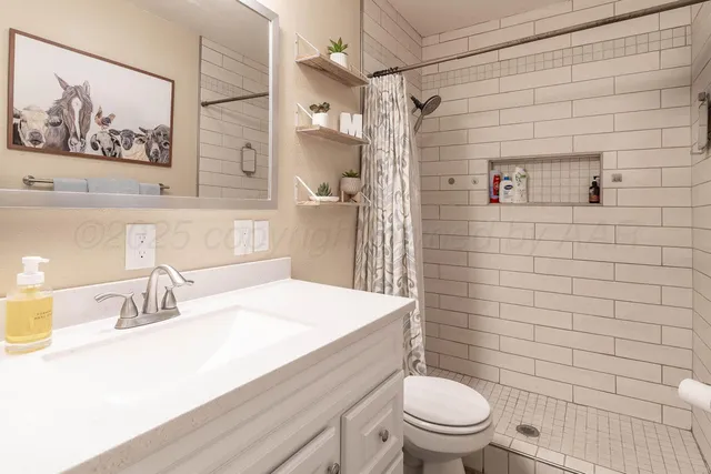 a bathroom with a sink a toilet and shower curtain
