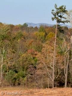 -off Newsome Road King, NC 27021 - Photo 3 of 4 Gallery Image 3