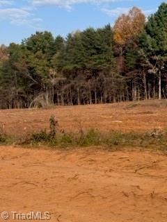 -off Newsome Road King, NC 27021 - Photo 4 of 4 Gallery Image 4