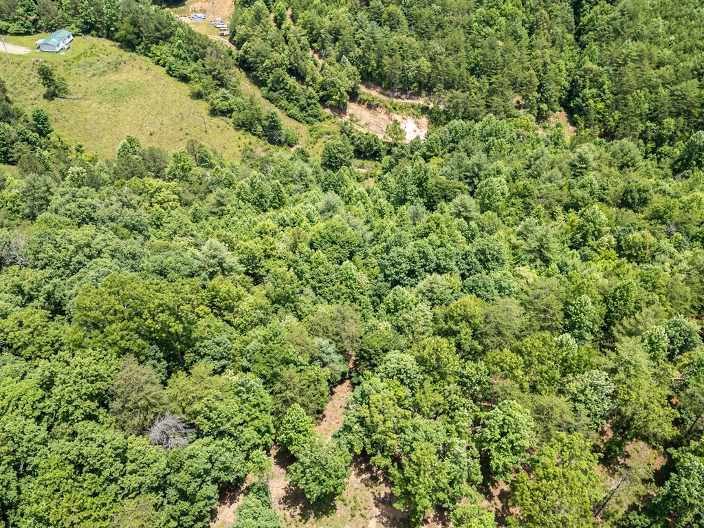 2 Stormy Ridge Brasstown, NC 28902 - Photo 13 of 16