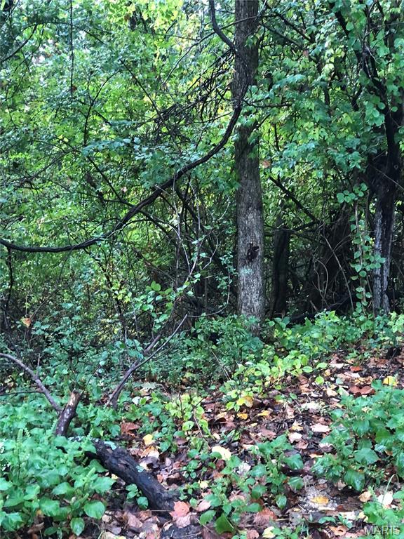 0 Grandview Drive Sullivan, MO 63080 - Photo 3 of 5