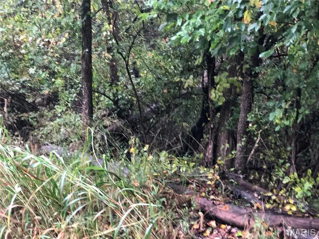 $72,000 | 0 Grandview Drive, Sullivan, MO 63080