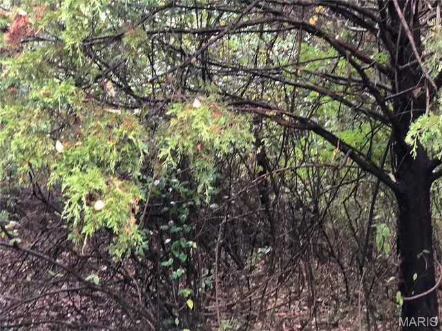 $72,000 | 0 Grandview Drive, Sullivan, MO 63080