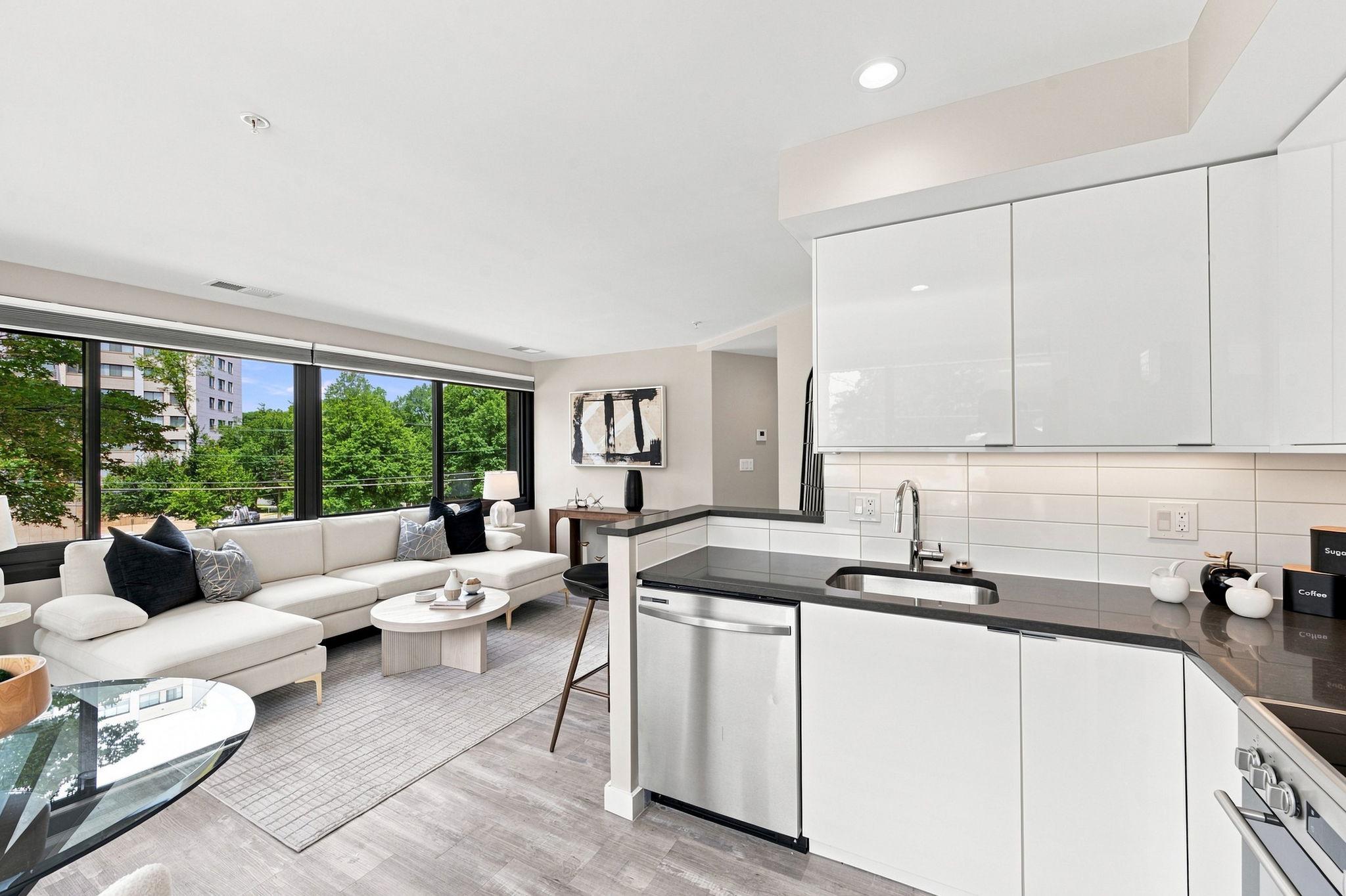 700 Roeder Road, Unit 203 Silver Spring, MD 20910 - Photo 3 of 37 Modern oasis with bright views from the kitchen.