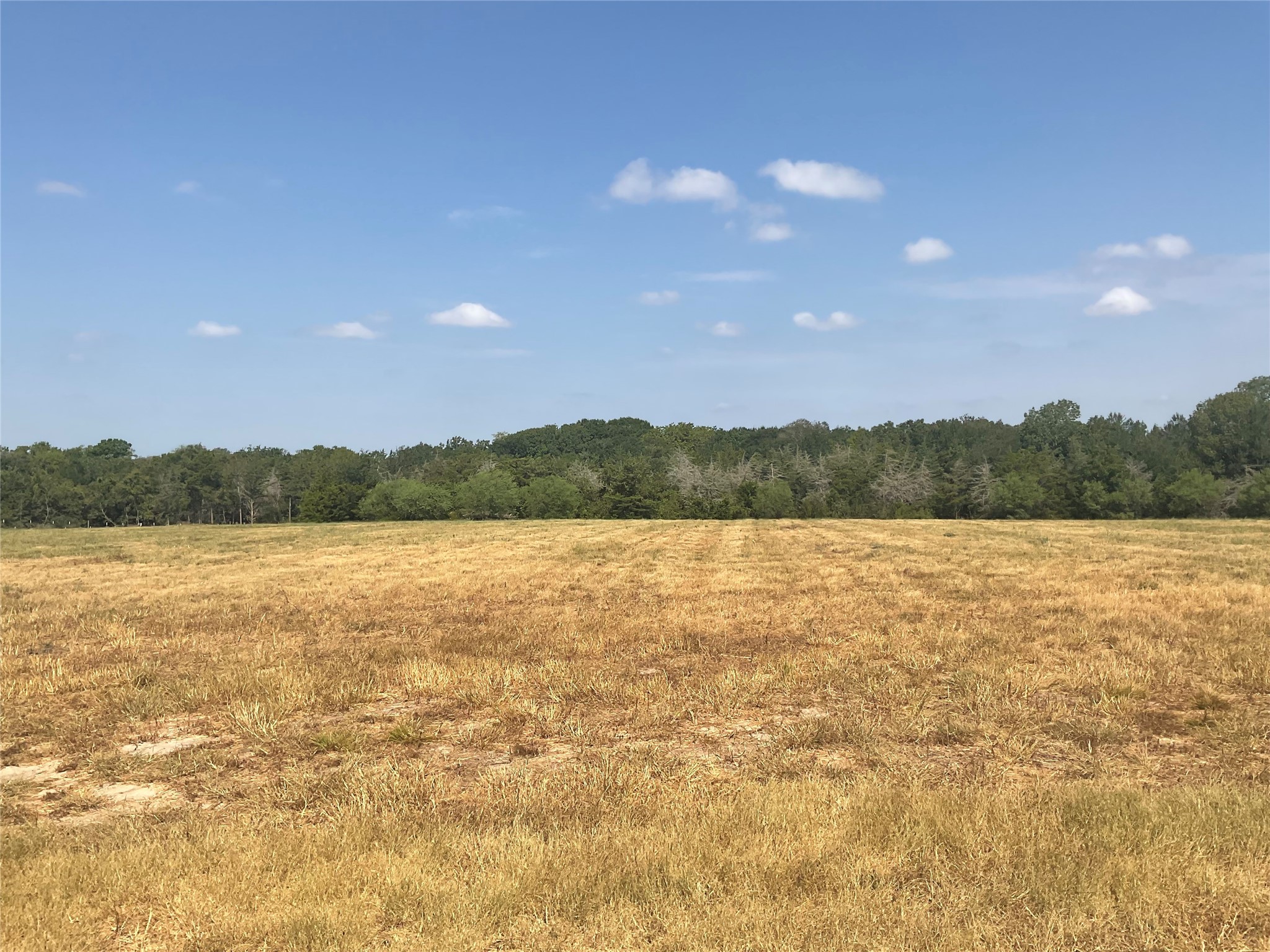 2805 Deer Road Brenham, TX 77833 - Photo 6 of 6 Gallery Image 6