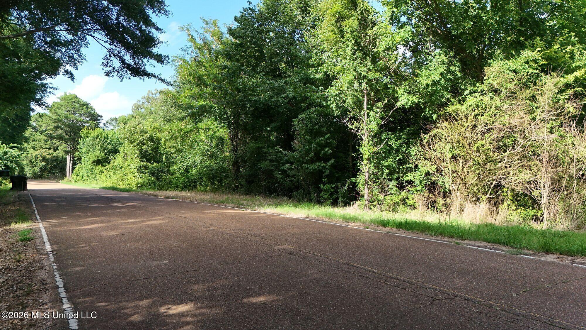1400 Kelly Crossing Road Coldwater, MS 38618 - Photo 4 of 6 4