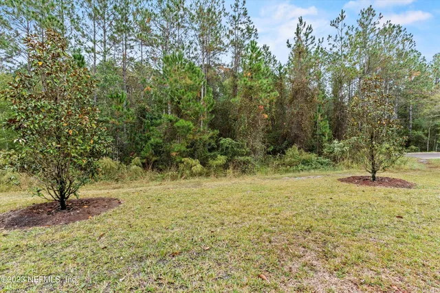 a view of a yard with plants and trees