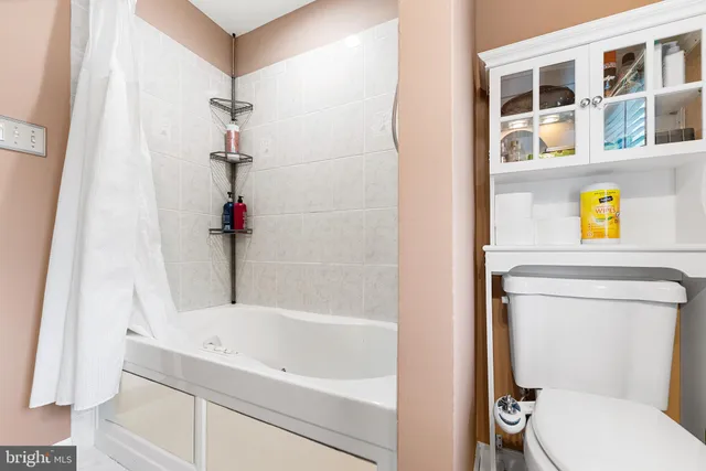 a bathroom with a toilet and a bathtub