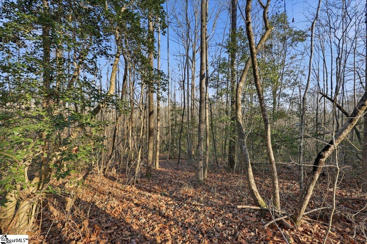 831 Neighborhood Road Wellford, SC 29385 - Photo 16 of 35