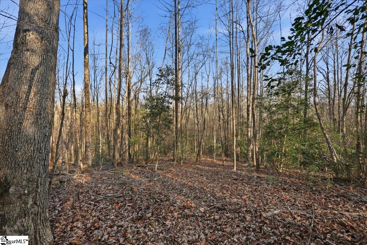 831 Neighborhood Road Wellford, SC 29385 - Photo 31 of 35