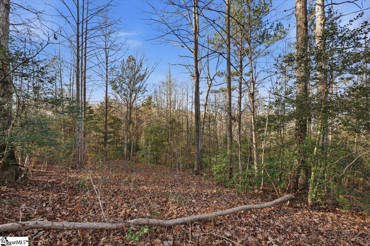 831 Neighborhood Road Wellford, SC 29385 - Photo 34 of 35