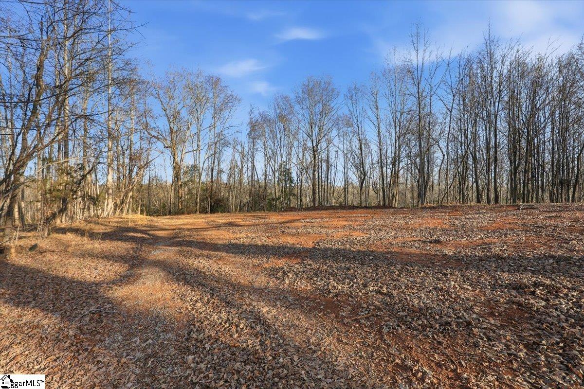 831 Neighborhood Road Wellford, SC 29385 - Photo 10 of 35