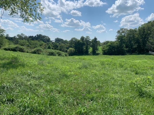 0 West Howards Mill Road Owingsville, KY 40360 - Photo 4 of 11 Image 3