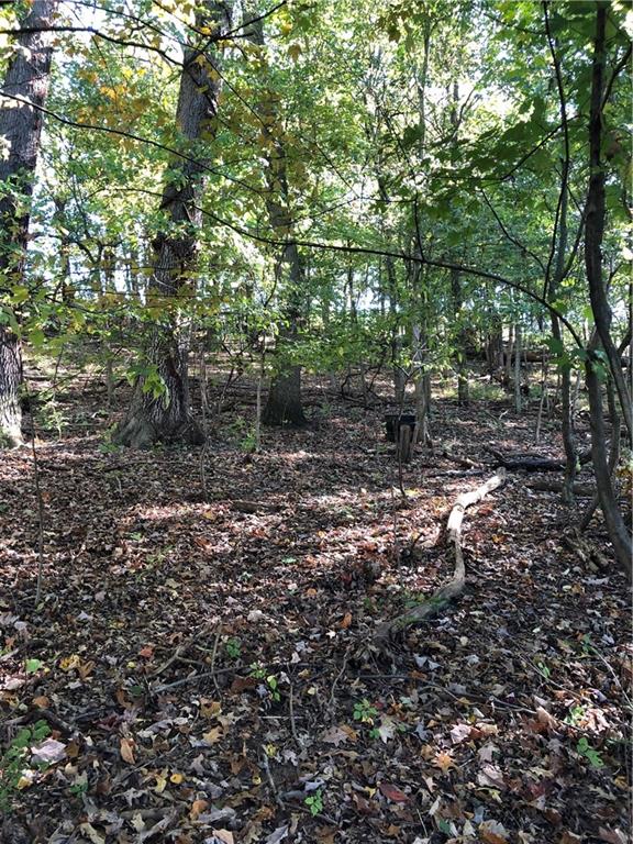 216 Hillendale Road Pittsburgh, PA 15237 - Photo 25 of 25 a view of a forest with trees