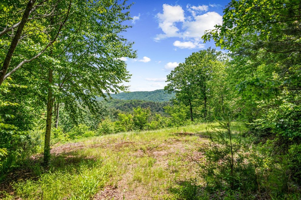 379 Dream Catcher Blue Ridge Blue Ridge, GA 30513 - Photo 6 of 28 a view of outdoor space and trees all around