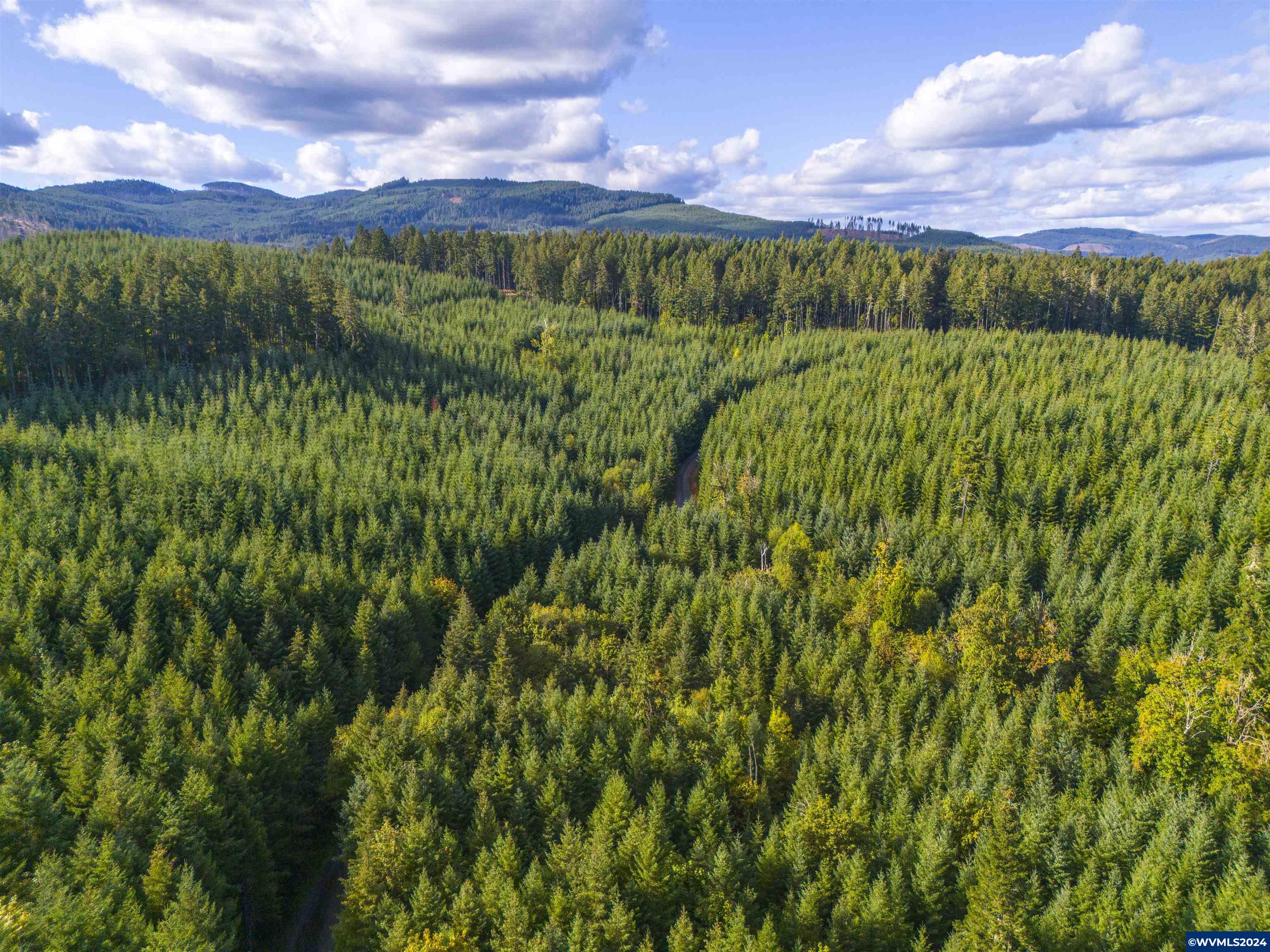 0 Northwest Meadowlake Road Yamhill, OR 97148 - Photo 9 of 14