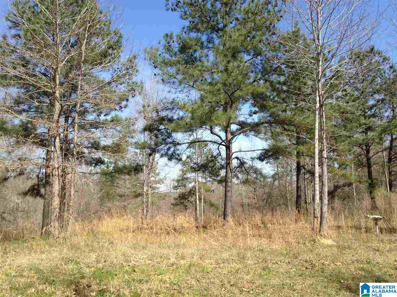 8721 Sharit Dairy Road Gardendale, AL 35071 - Photo 1 of 1