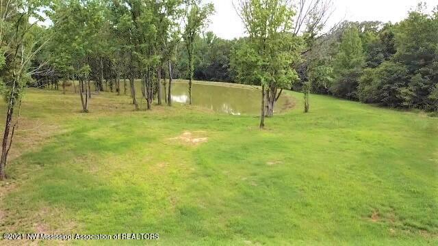 3453 Bolin Road Hernando, MS 38632 - Photo 1 of 7 10 Acres - Bolin Rd