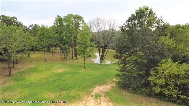 3453 Bolin Road Hernando, MS 38632 - Photo 3 of 7 10 Acres - Bolin Rd - Aerial 2