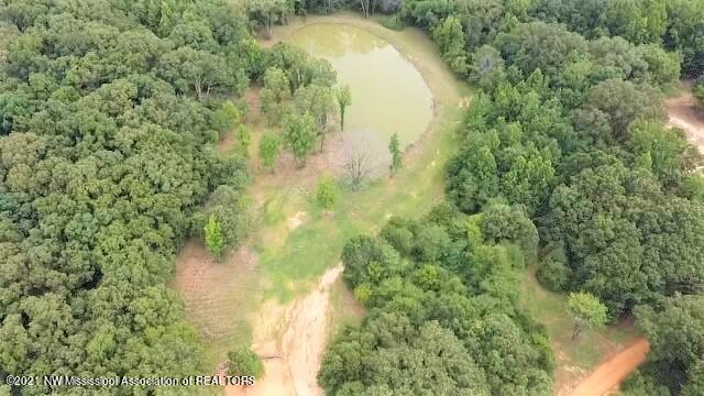 3453 Bolin Road Hernando, MS 38632 - Photo 4 of 7 10 Acres - Bolin Rd - Aerial 3