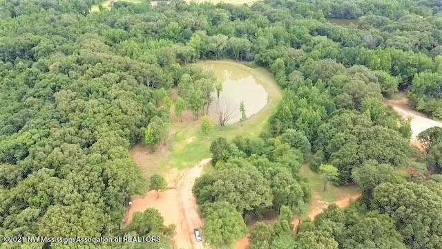 3453 Bolin Road Hernando, MS 38632 - Photo 5 of 7 Bolin Rd - Aerial 4