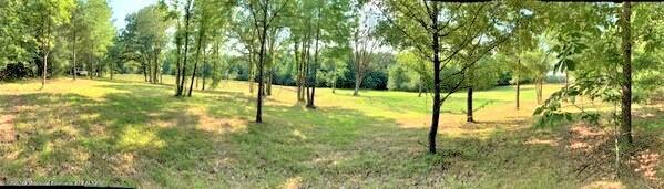 3453 Bolin Road Hernando, MS 38632 - Photo 7 of 7 Bolin - 10 acres - panoramic 3a
