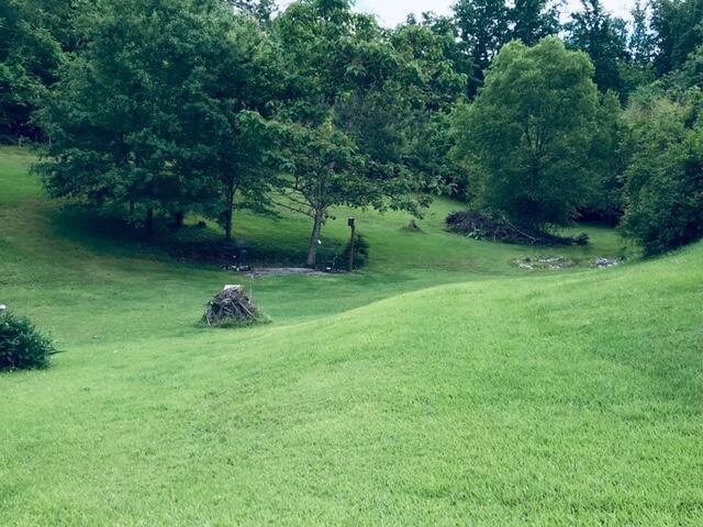 7120 Short Tail Springs Road Harrison, TN 37341 - Photo 23 of 23 image6 (1)