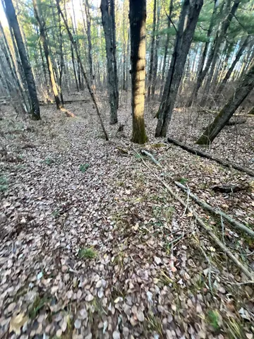 $64,900 | 427 County Road 427, Grand Rapids, MN 55744