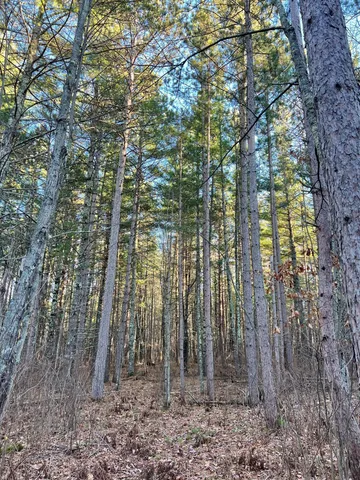 $64,900 | 427 County Road 427, Grand Rapids, MN 55744